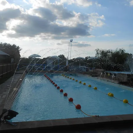 Rotreiher Urlaub Am Trasimeno
