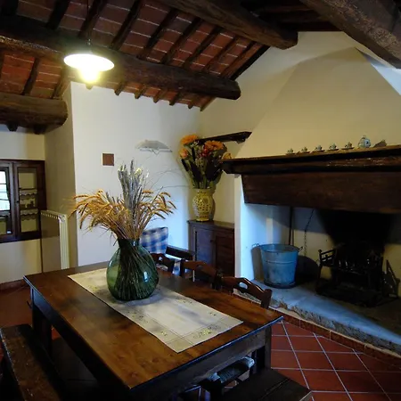 Rotreiher Urlaub Am Trasimeno * Pucciarelli